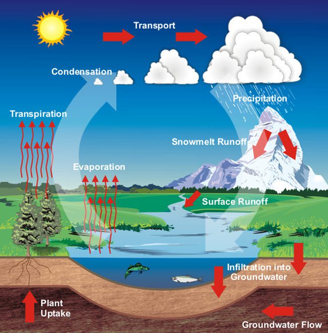 Where Your Water Comes From 2 Hydrologic Cycle