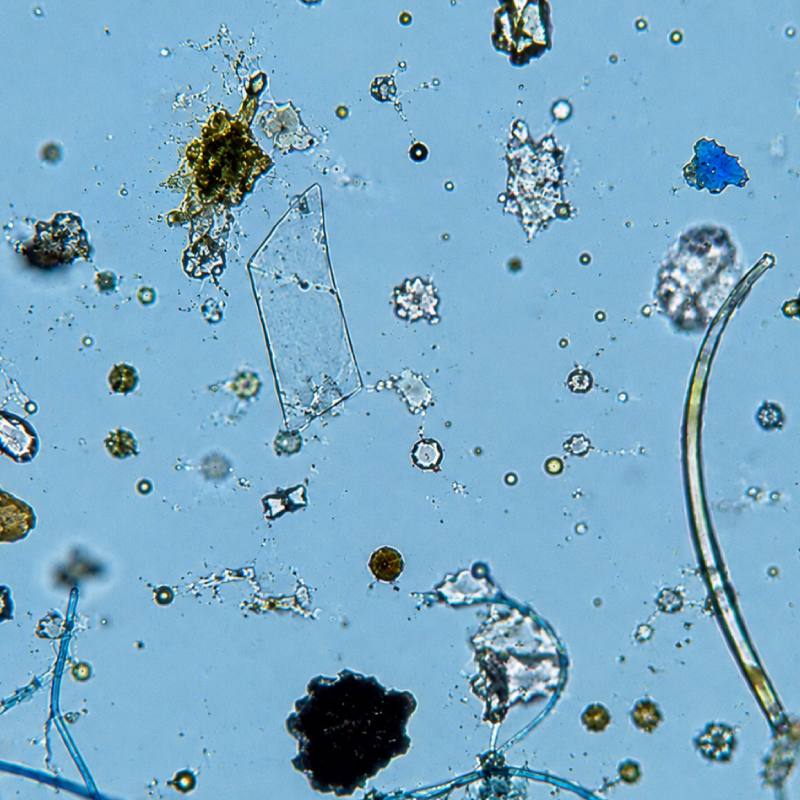 Water Treatment Resources 31 Micro-organisms need UV Water Purification
